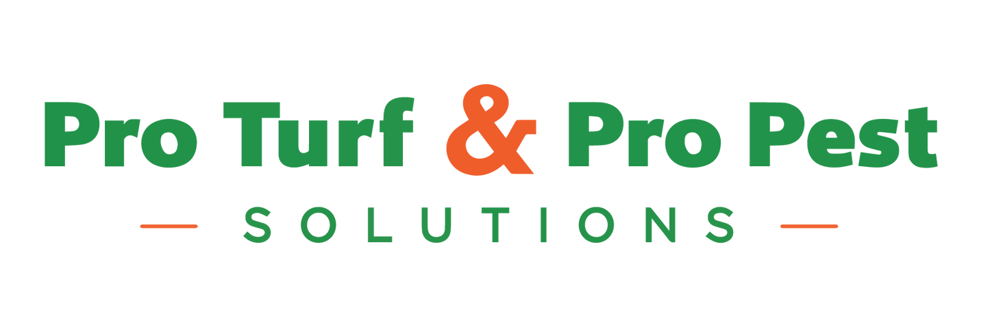 Balance Due